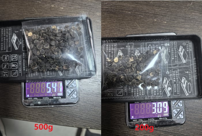 š„Double Hollyhock Seeds