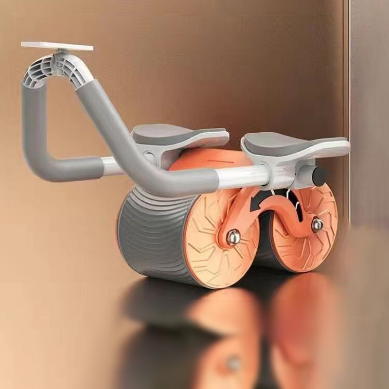 ❤️HOT SALE 49% off🔥Plank Ab Roller Wheel for Core Trainer