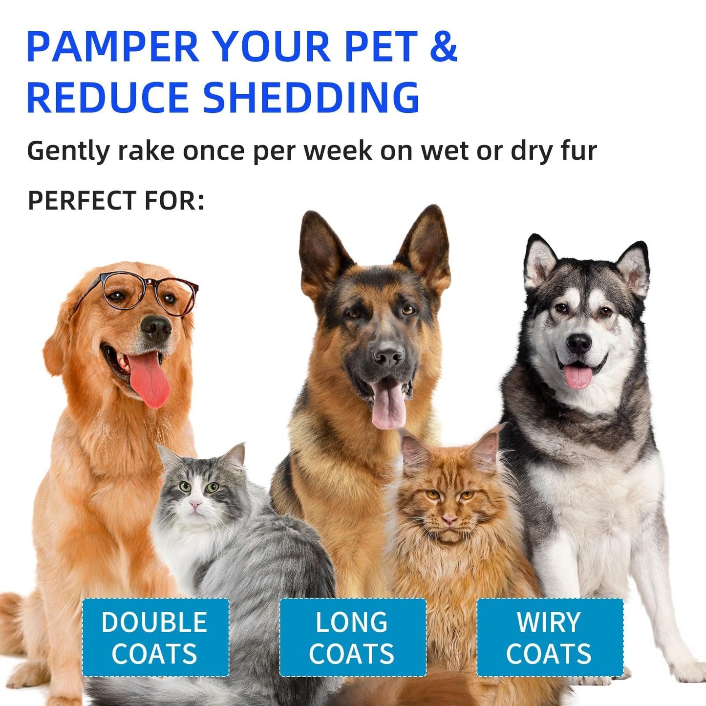 Last Day 49% OFF💥Pet Spray Hair Removal Comb🐶