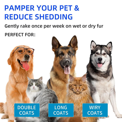 Last Day 49% OFF💥Pet Spray Hair Removal Comb🐶