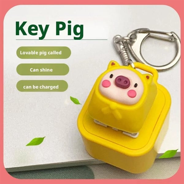 Frog Croaking Fidget Toy - Rechargeable Frog Croaking Keychain
